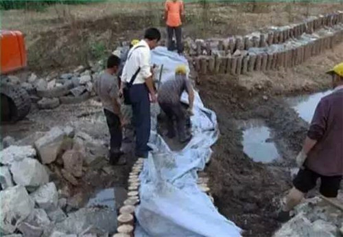 河道生態棲息地的修復設計與施工