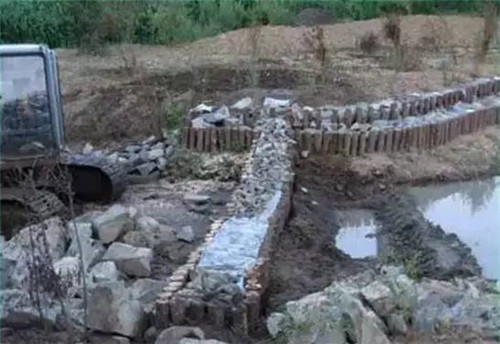 河道生態(tài)棲息地的修復(fù)設(shè)計(jì)與施工