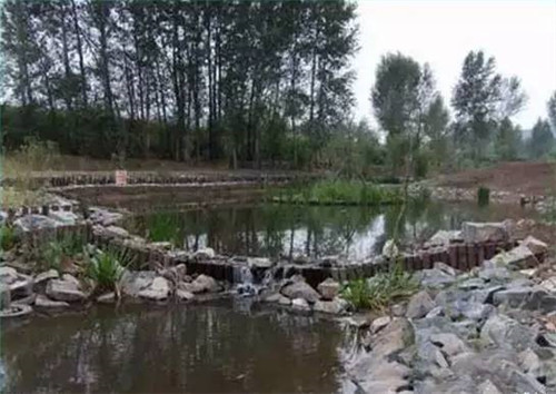 河道生態(tài)棲息地的修復(fù)設(shè)計(jì)與施工