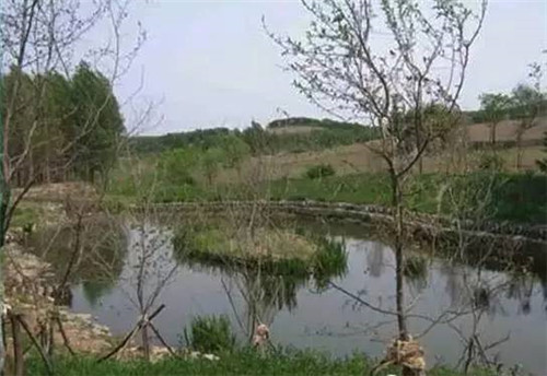 河道生態(tài)棲息地的修復(fù)設(shè)計(jì)與施工