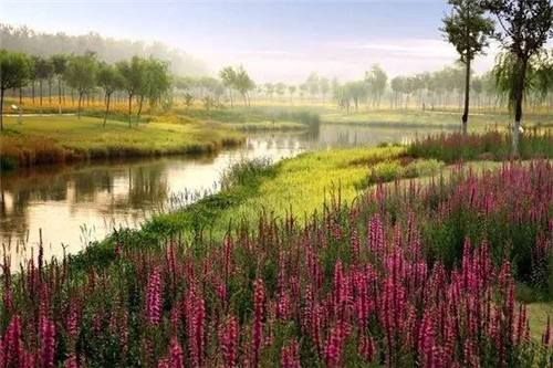 我們在設計濱水景觀時在設計什么？