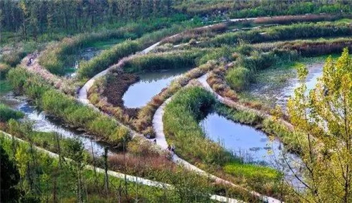 我們在設計濱水景觀時在設計什么？