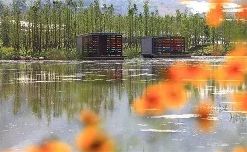 我們在設計濱水景觀時在設計什么？