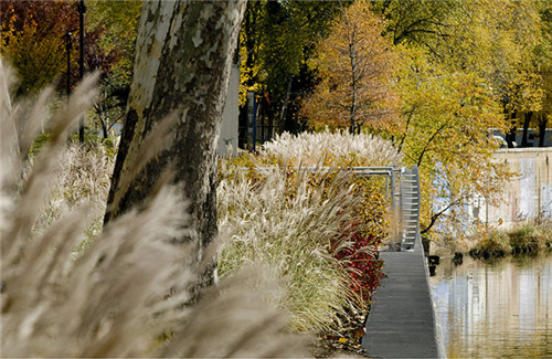 充滿活力的喬治敦海濱公園