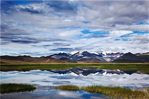 這種植物,全世界只有一個(gè)地方出產(chǎn)……