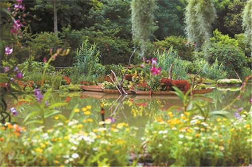 仙湖植物園景觀換新顏吸引世界目光