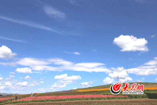 “京津冀綠色發展看河北”之:閃電河濕地公園