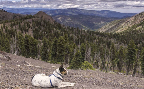 浴火重生,一個國家公園引發(fā)的思考