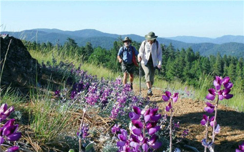 浴火重生，一個(gè)國(guó)家公園引發(fā)的思考