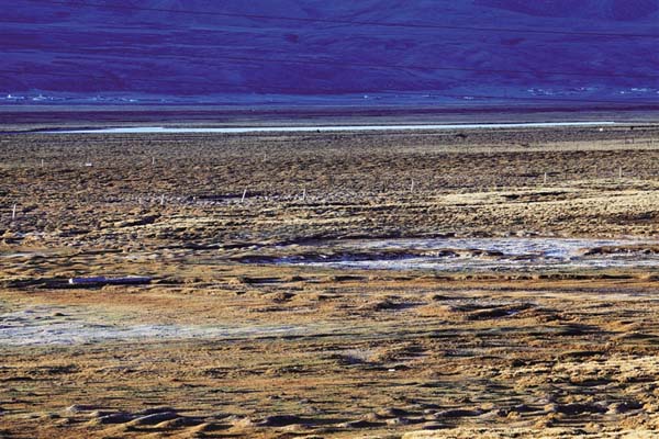 西藏受保護(hù)濕地面積超430萬公頃