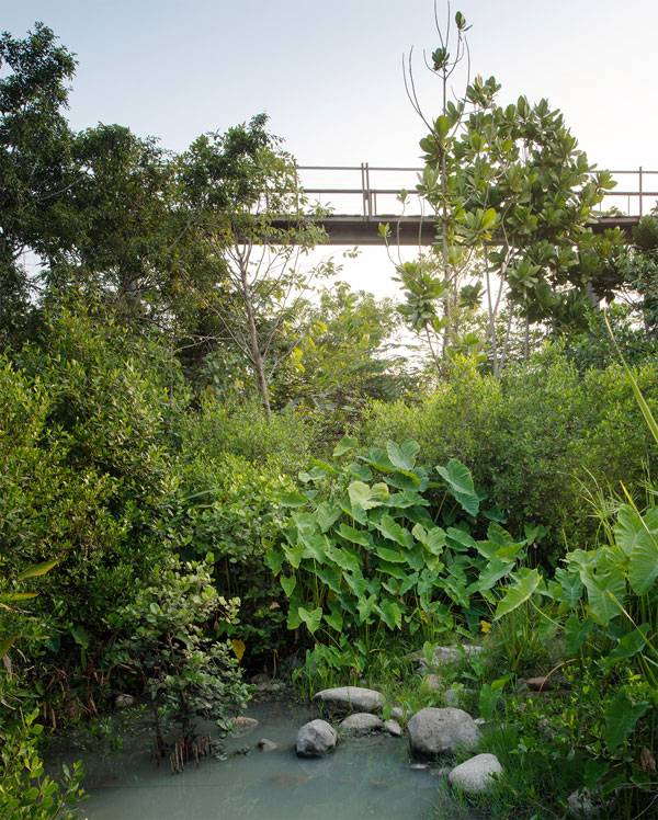 泰國城市森林項目讓曼谷回歸自然