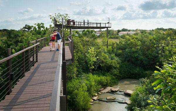 泰國城市森林項目讓曼谷回歸自然