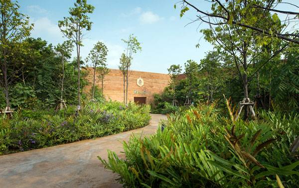 泰國城市森林項目讓曼谷回歸自然