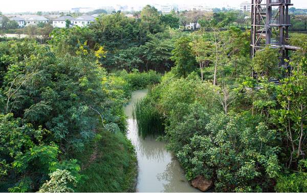 泰國城市森林項目讓曼谷回歸自然