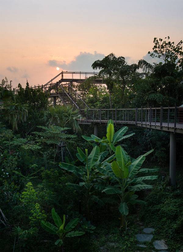 泰國城市森林項目讓曼谷回歸自然