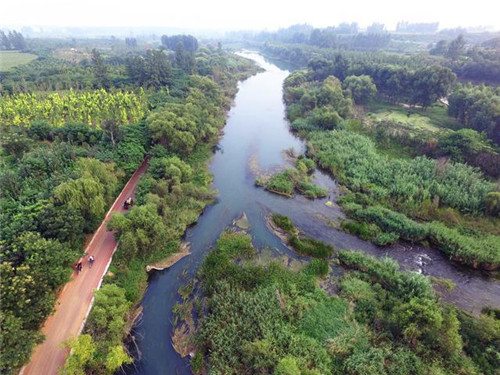 河南淇濱生態(tài)濕地的自然之美