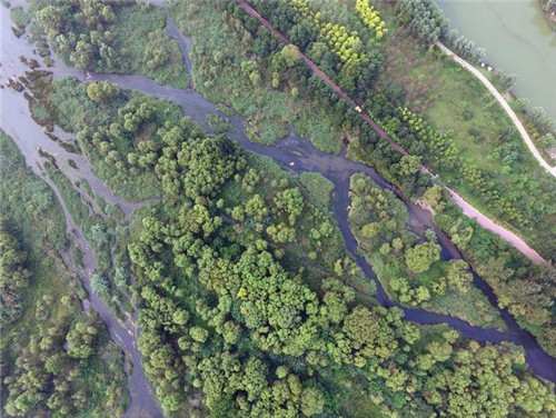 河南淇濱生態(tài)濕地的自然之美