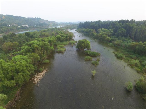 河南淇濱生態(tài)濕地的自然之美
