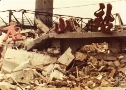 談?wù)劤鞘袌@林的抗震減災(zāi)功能