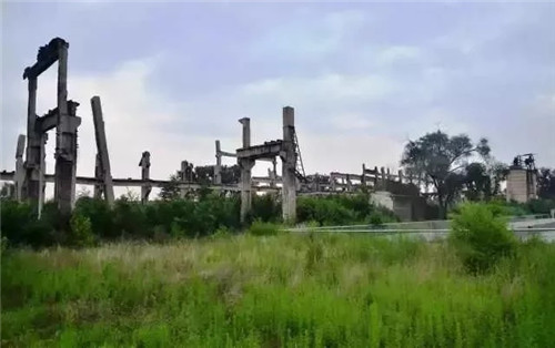 談?wù)劤鞘袌@林的抗震減災(zāi)功能