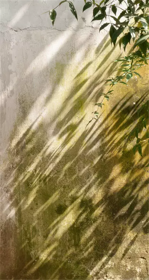 中華園林幽深滄桑之美