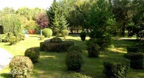 中國(guó)現(xiàn)代園林植物造景進(jìn)階論