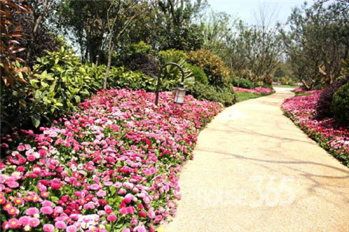 中國現代園林植物造景進階論