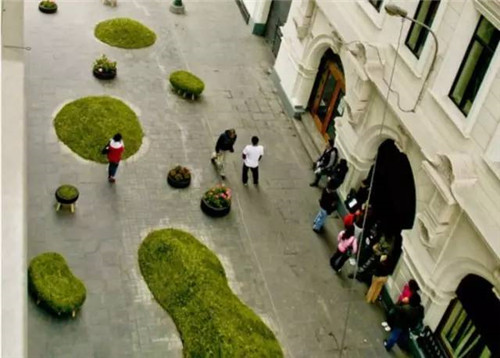 中國現代園林植物造景進階論