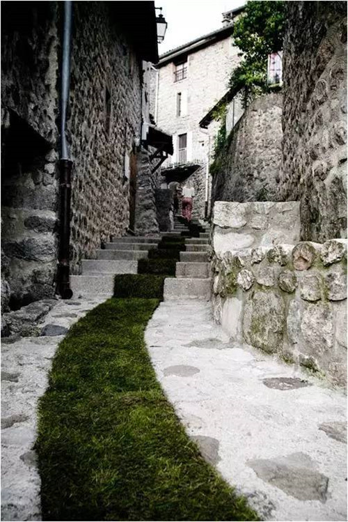 中國(guó)現(xiàn)代園林植物造景進(jìn)階論