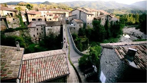 中國(guó)現(xiàn)代園林植物造景進(jìn)階論