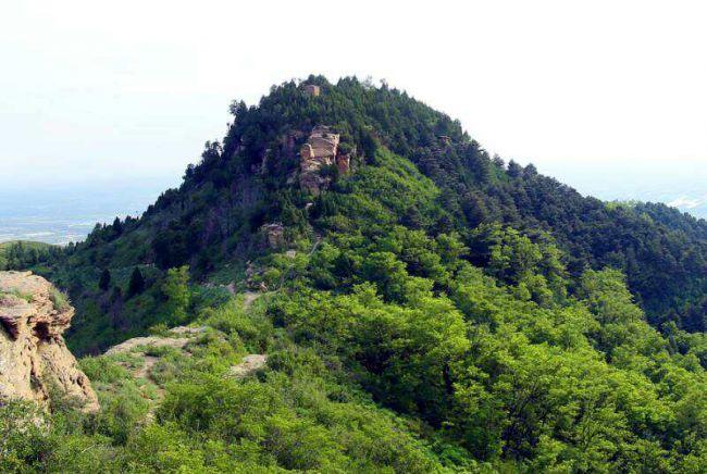 陜西武帝山國家森林公園正式獲批