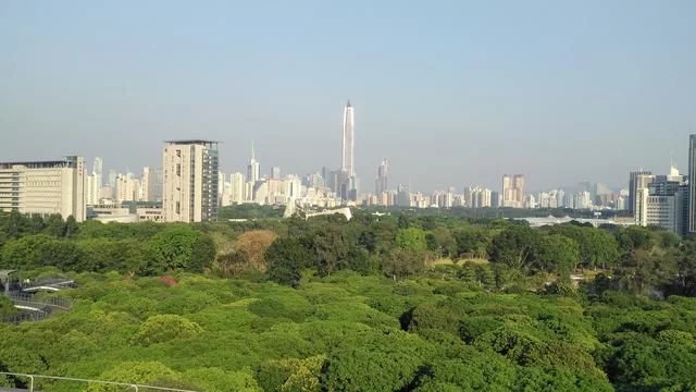 被媒體譽(yù)為深圳最美城市公園