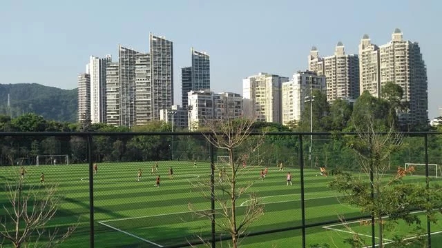 被媒體譽(yù)為深圳最美城市公園