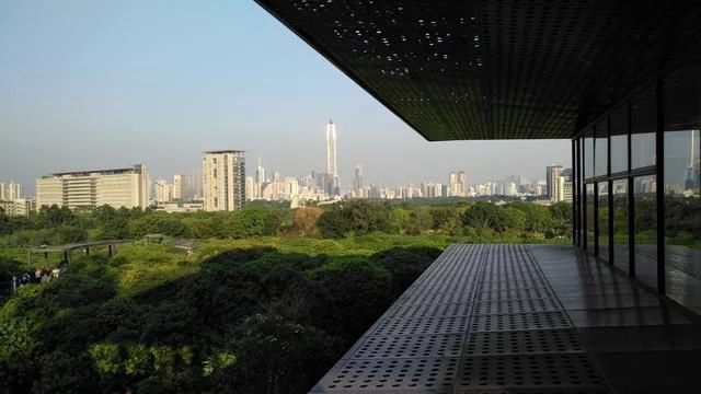 被媒體譽(yù)為深圳最美城市公園