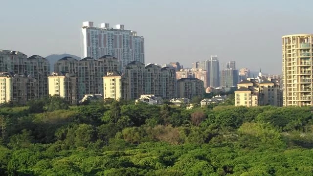 被媒體譽(yù)為深圳最美城市公園