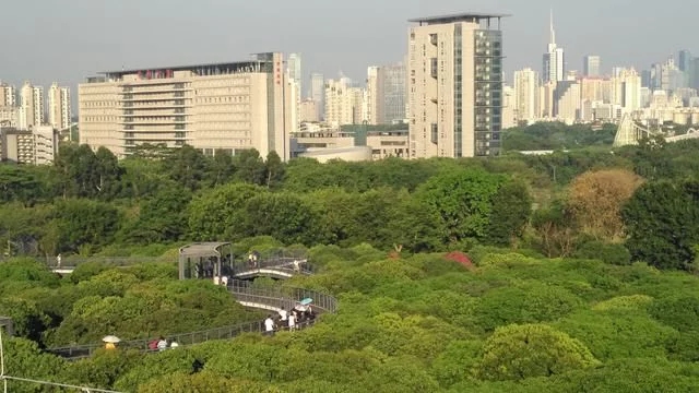 被媒體譽(yù)為深圳最美城市公園