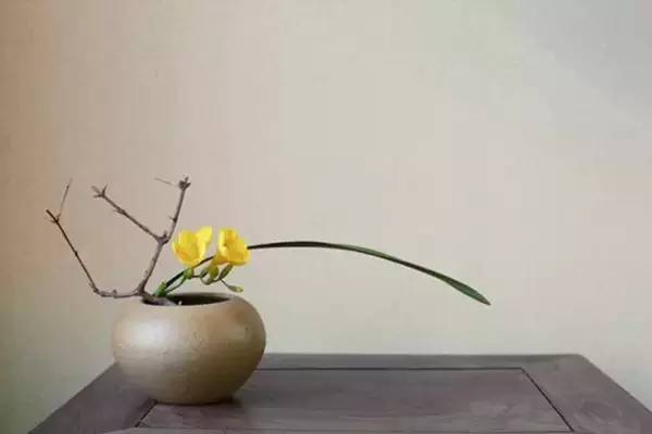 關(guān)于茶藝中用到的那些插花