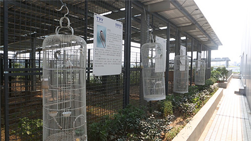 上海綠色建筑快速生長