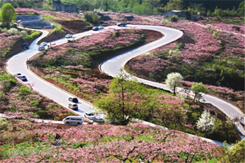 龍泉山城市森林公園美爆了