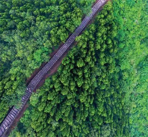 龍泉山城市森林公園美爆了