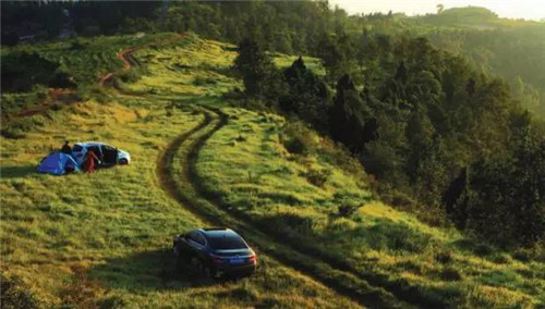 龍泉山城市森林公園美爆了