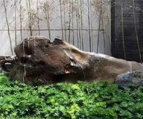 自然園林中的景觀置石