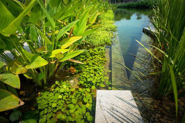 泰國曼谷LAB設計事務所SCG總部大樓項目