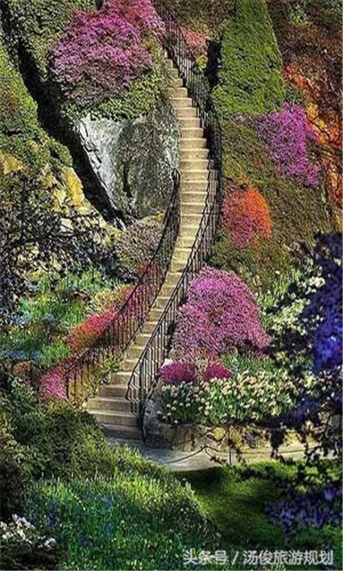 如何打造花卉主題公園