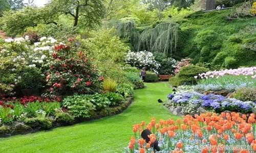 如何打造花卉主題公園
