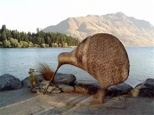 鐘揚(yáng):為了“末日方舟”,我在西藏收集種子