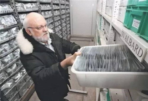 鐘揚:為了“末日方舟”,我在西藏收集種子