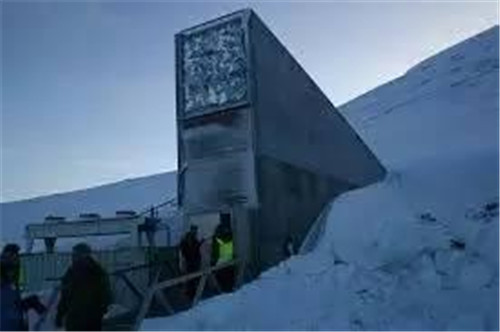 鐘揚:為了“末日方舟”,我在西藏收集種子