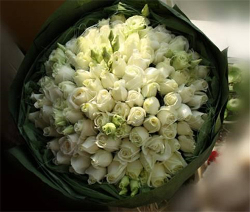 七夕節(jié)到了!那些你不知道的愛情花