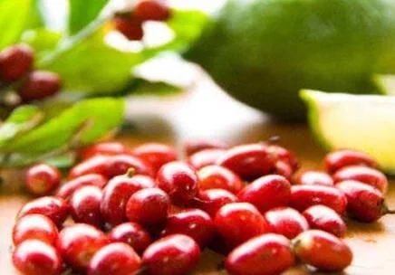 城里人從來都沒見過的，國寶級的珍貴植物